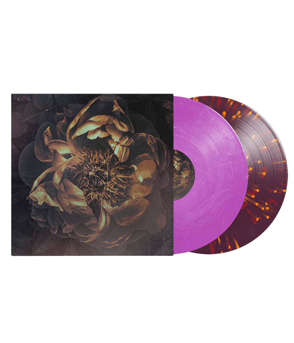 The Contortionist Retrospective: Live from Atlanta Vinyl Box Set