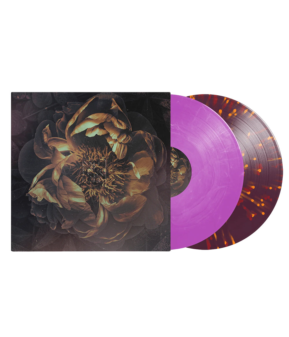 The Contortionist Retrospective: Live from Atlanta Vinyl Box Set *SHIPS WITHIN 1-2 WEEKS